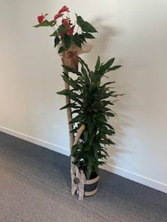 Décoration florale pour un événement d'entreprise à Colombiers